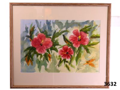 Hibiscus Rosa Sinensis