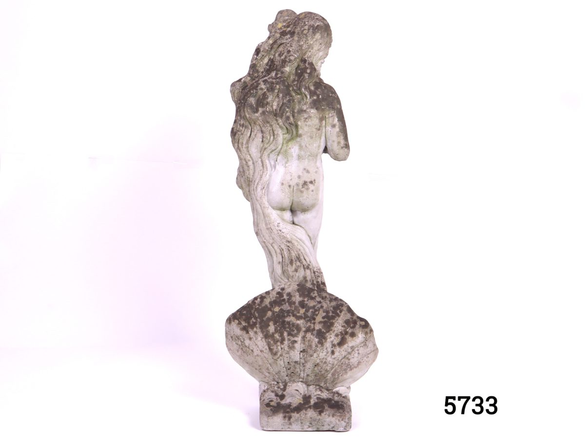 Well weathered concrete garden statue fashioned in the form of Sandro Botticellis Birth Of Venus. Square base measures 175mm by 165mm Back view of statue