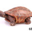 Vintage Purple Clay Tortoise