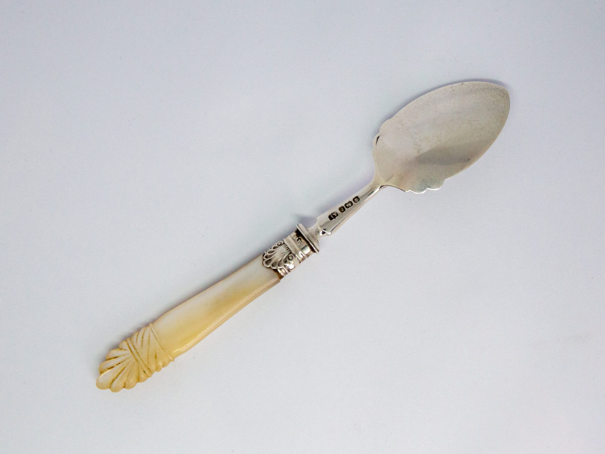Antique silver and mother-of-pearl jam spade. Fabulous quality sterling silver jam spade with scallop design detail and a scallop carved mother-of-pearl handle. Full hallmark to back of neck for Sheffield assay c1895 and made by Arthur Priestley & Co. Spoon bowl measures 52mm long by 30mm at widest point. Photo of full length of spoon with bowl side face down and handle end in bottom left of photo.