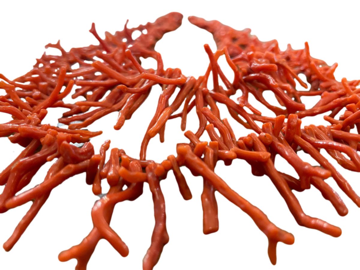 Vintage double strand branch coral necklace. Salmon red coral with longer branch coral to the front. Shorter strand measures 440mm and longer 550mm. Longer branch corals measure approx.38mm. Close up photo of the amazing larger branch coral sticks at the front of necklace.